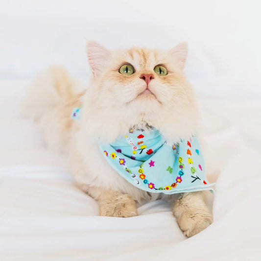 Friends Forever Pet Bandana