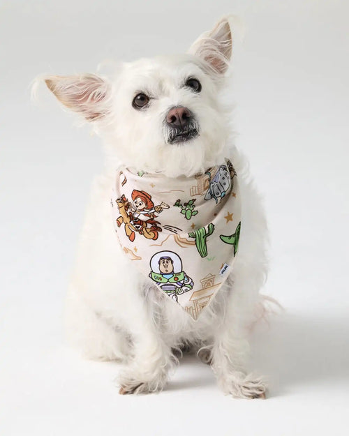 Disney & Pixar Woody's Wild West Pet Bandana