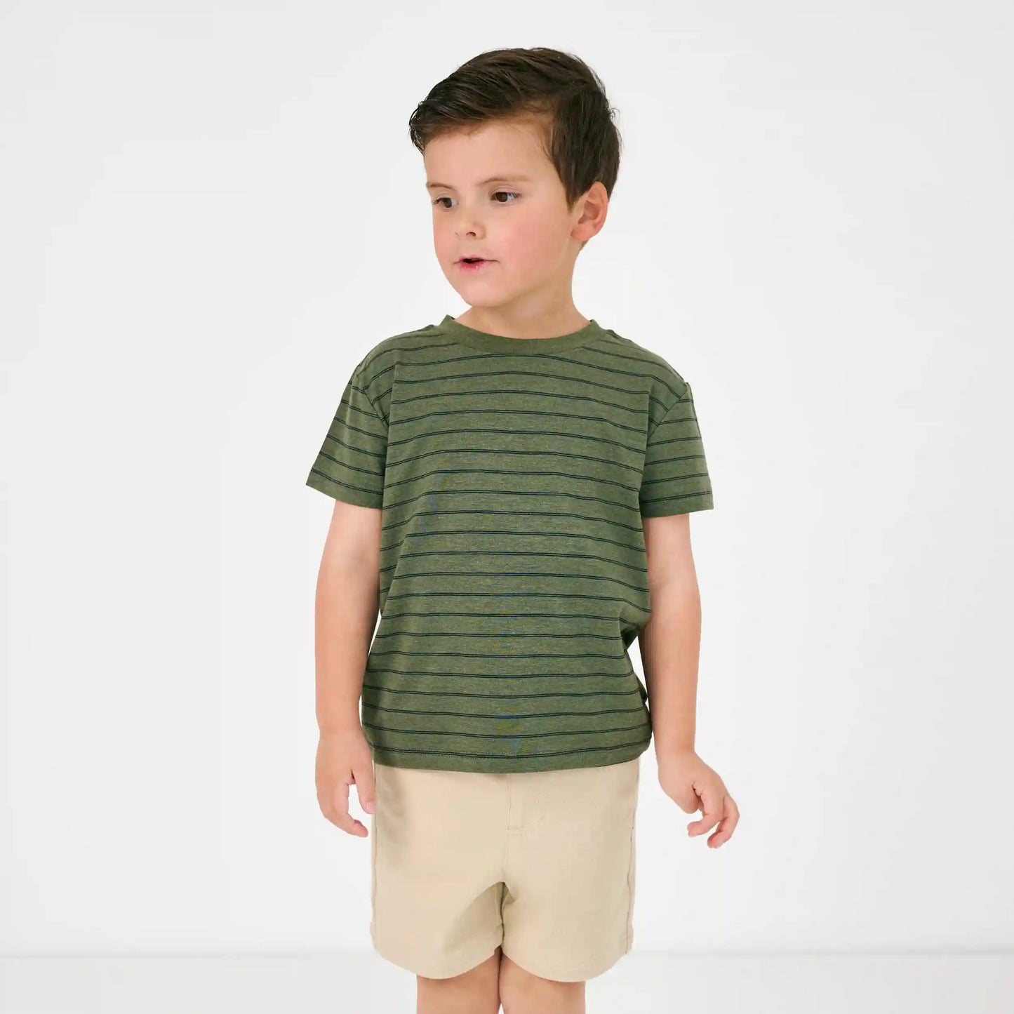 Olive Stripes Short Sleeve Relaxed Tee
