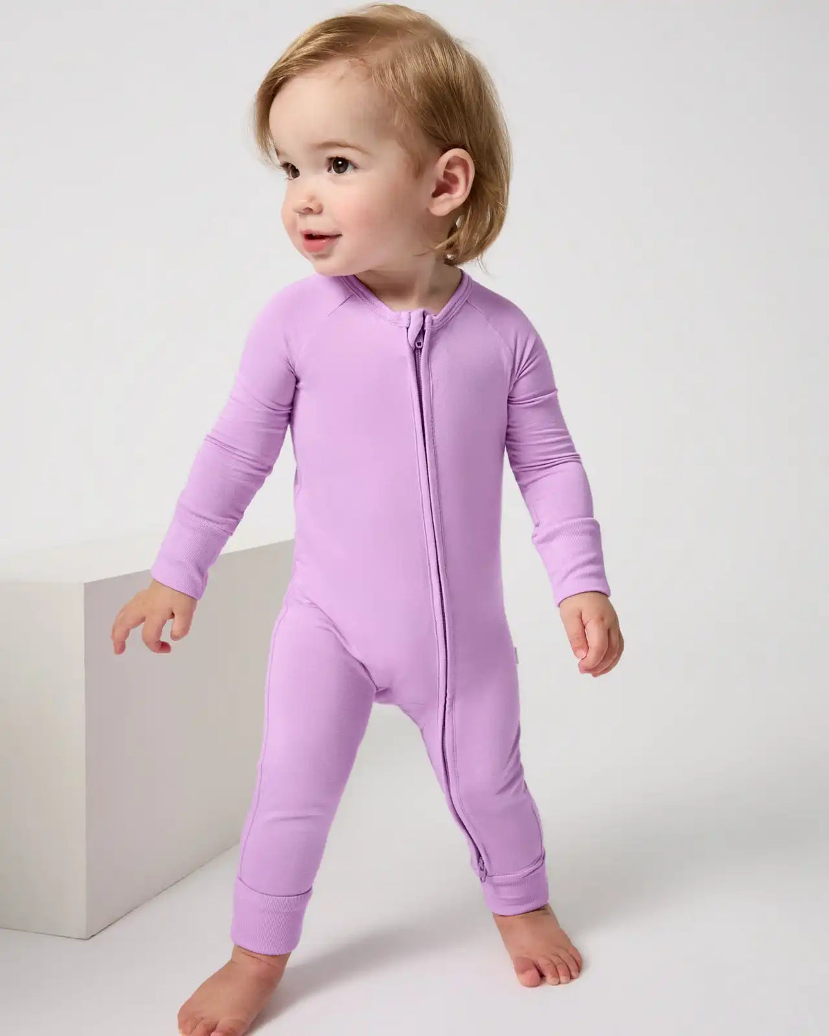 Soft Wisteria Zippy