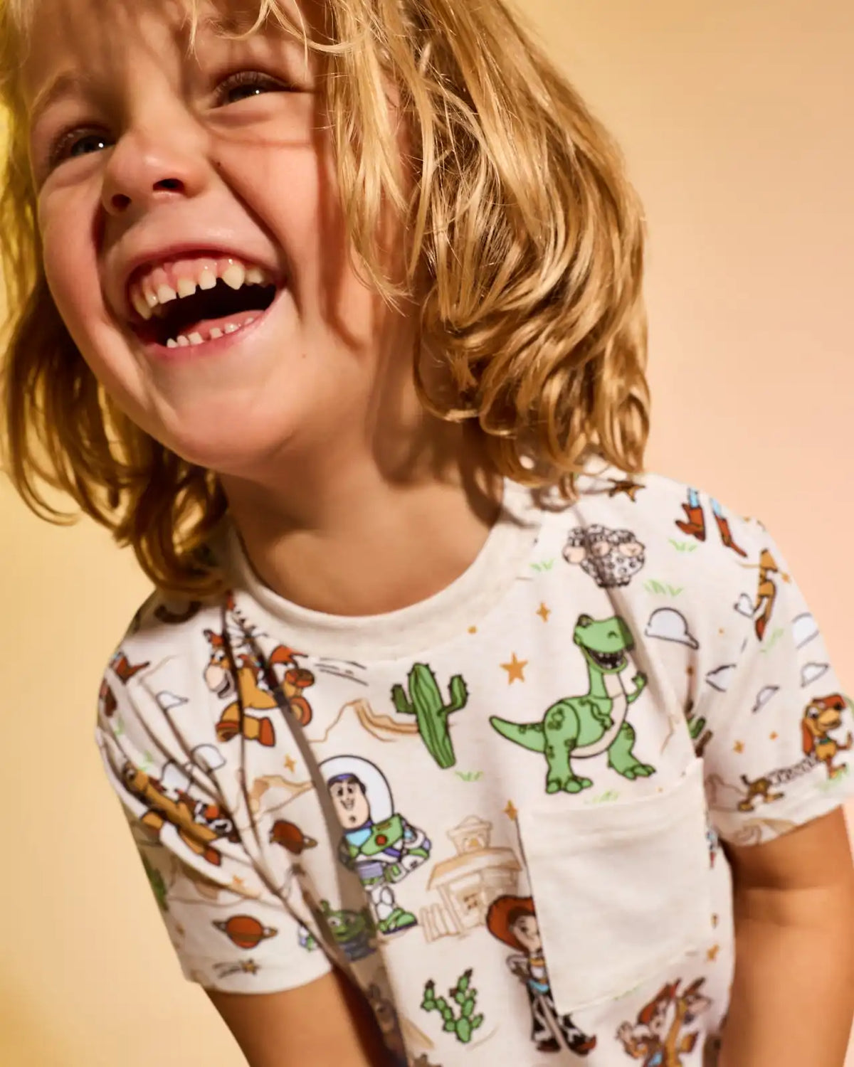 Disney & Pixar Woody's Wild West Relaxed Pocket Tee